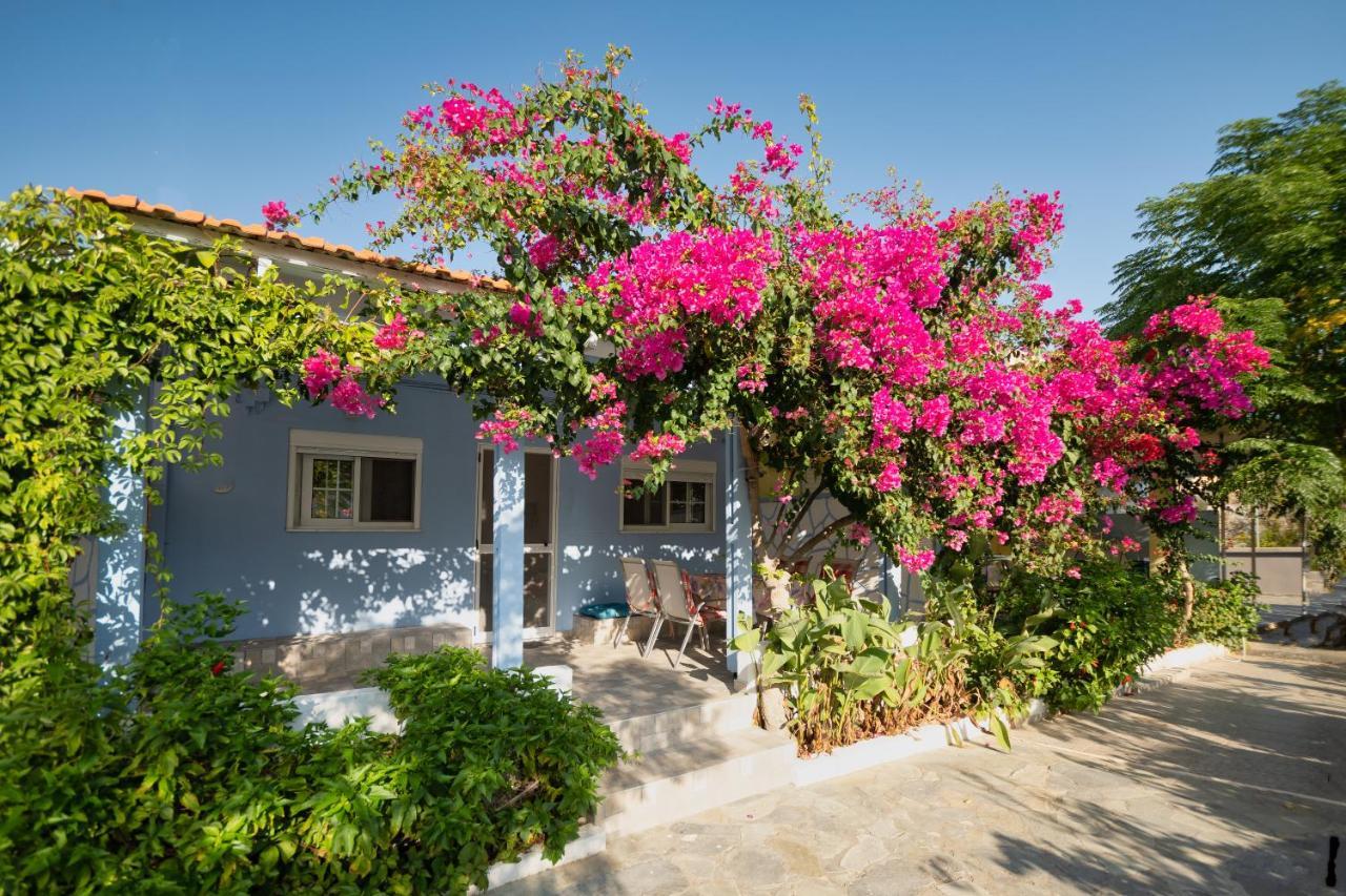 Salora Studio-Apartments Archangelos  Luaran gambar